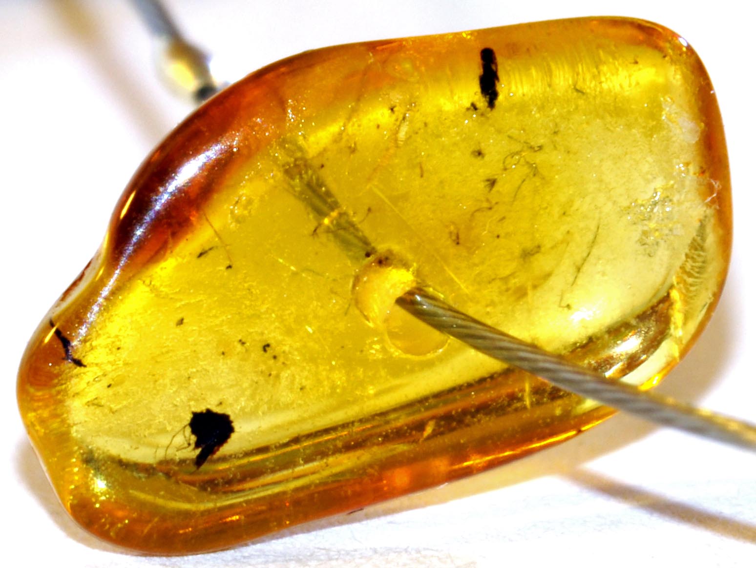#Fossil insects in amber.
