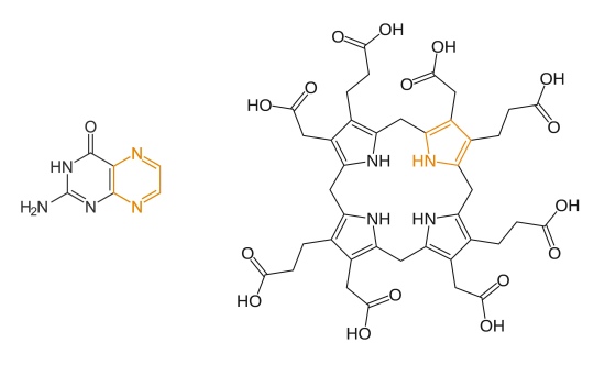 Nitrogen heterocycles in a pterin (left) and a porphyrin (right).